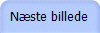 Nste billede